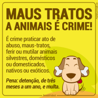 /album/alegria/a11220456-1303417446340774-1186856205715921699-n-png/